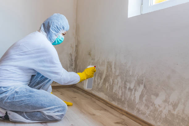 Attic Mold Removal in Choctaw, OK