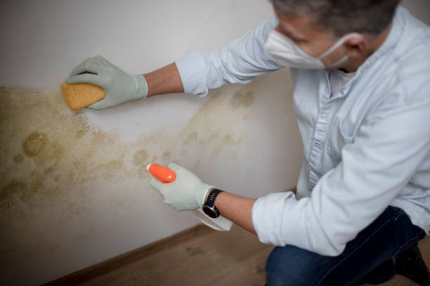 Best Mold Removal Near Me  in Choctaw, OK