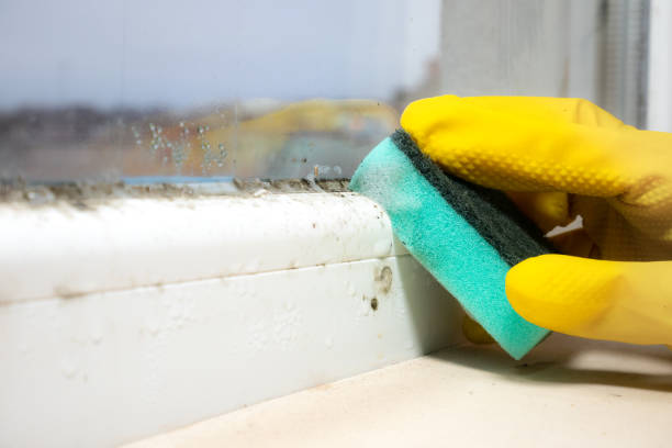 Choctaw, OK Mold Removal Company