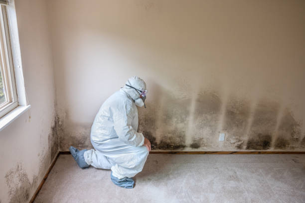 Best Office Mold Removal Services  in Choctaw, OK